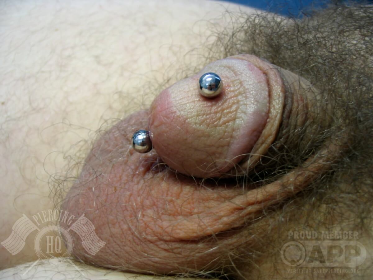 Genital Male Penis Piercing HQ genital-male-penis-piercing-hq